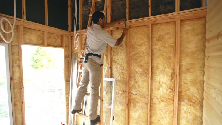 Types of Insulation We Offer in Justin, TX